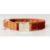 KENTUCKY DOGWEAR Hundehalsband Velvet