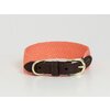 KENTUCKY DOGWEAR Hundehalsband Jacquard