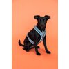 KENTUCKY Dogwear Hundegeschirr Active