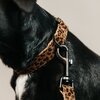 KENTUCKY Dogwear Hundeleine Leopard