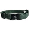 KENTUCKY Dogwear Hundehalsband