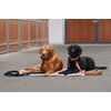 ESKADRON Platinum Hundebett Faux Leather FF