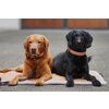 ESKADRON Platinum Hunde-Set Faux Leather