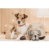 KENTUCKY DOGWEAR Hundebett Cave