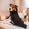 KENTUCKY DOGWEAR Hundemantel Towel