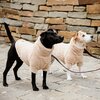 KENTUCKY DOGWEAR Hundepullover Teddy Fleece