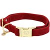 KENTUCKY DOGWEAR Hundehalsband Corduroy