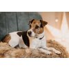 KENTUCKY DOGWEAR Hundebett Fuzzy Blanket To Go