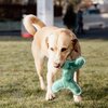 KENTUCKY DOGWEAR Hundespielzeug Pastell Knochen