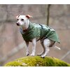Miniaturansicht: pawberry Softshell-Hundemantel Reus – Ansicht 4