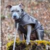 Miniaturansicht: pawberry Softshell-Hundemantel Reus – Ansicht 7