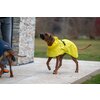 Miniaturansicht: pawberry Hunde-Regenmantel Rainstormer – Ansicht 7