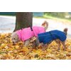 Miniaturansicht: pawberry Hundemantel Rainstormer &ndash; Ansicht 6