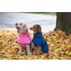 Miniaturansicht: pawberry Hundemantel Rainstormer &ndash; Ansicht 7