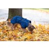 Miniaturansicht: pawberry Hundemantel Rainstormer &ndash; Ansicht 4
