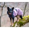 Miniaturansicht: pawberry Hunde-Wintermantel Tallinn – Ansicht 5