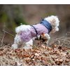 Miniaturansicht: pawberry Hunde-Wintermantel Tallinn – Ansicht 4