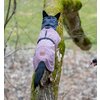 Miniaturansicht: pawberry Hunde-Wintermantel Tallinn – Ansicht 6