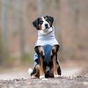 Miniaturansicht: pawberry Hunde-Wintermantel Tallinn – Ansicht 5