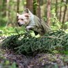 pawberry Hunde-Wintermantel Random