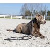 Miniaturansicht: pawberry Hundehalsband Lyon &ndash; Ansicht 4