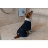 Miniaturansicht: pawberry Hundebademantel London – Ansicht 5