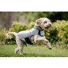 Miniaturansicht: HORSEWARE Hundemantel Newmarket Dog Fleece – Ansicht 2