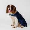 Miniaturansicht: HORSEWARE Hundemantel Newmarket Dog Coat – Ansicht 1