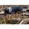 Miniaturansicht: pawberry Hunde-Wintermantel Stockholm – Ansicht 1