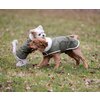 Miniaturansicht: pawberry Hunde-Wintermantel Stockholm – Ansicht 8