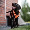 Miniaturansicht: SPRENGER Y-Hundegeschirr 2.0, reflektierend &ndash; Ansicht 5