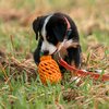 Miniaturansicht: SPRENGER Hundespielzeug FRUIT CHALLENCE - Ananas &ndash; Ansicht 5
