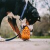 Miniaturansicht: SPRENGER Hundespielzeug FRUIT CHALLENCE - Ananas &ndash; Ansicht 6