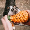 Miniaturansicht: SPRENGER Hundespielzeug FRUIT CHALLENCE - Ananas &ndash; Ansicht 7