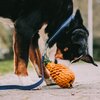 Miniaturansicht: SPRENGER Hundespielzeug FRUIT CHALLENCE - Ananas &ndash; Ansicht 8