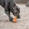 Miniaturansicht: SPRENGER Hundespielzeug FRUIT CHALLENCE - Ananas &ndash; Ansicht 9