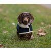 Miniaturansicht: pawberry Hunde-Wintermantel Stockholm 2.0 &ndash; Ansicht 7