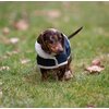 Miniaturansicht: pawberry Hunde-Wintermantel Stockholm 2.0 &ndash; Ansicht 8