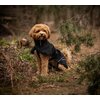 Miniaturansicht: Back on Track Regenmantel für Hunde &ndash; Ansicht 3