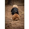 Miniaturansicht: Back on Track Regenmantel für Hunde &ndash; Ansicht 6