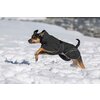 Miniaturansicht: Back on Track Hunde-Wintermantel Bay &ndash; Ansicht 2