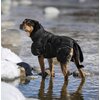 Miniaturansicht: Back on Track Hunde-Wintermantel Bay &ndash; Ansicht 5