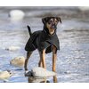Miniaturansicht: Back on Track Hunde-Wintermantel Bay &ndash; Ansicht 6