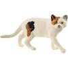 Miniaturansicht: Schleich Farm World Amerikanische Kurzhaarkatze – Ansicht 1