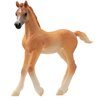 Miniaturansicht: Schleich HORSE CLUB Araber Fohlen – Ansicht 1
