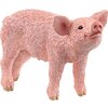 Miniaturansicht: Schleich Farm World Ferkel – Ansicht 1
