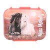 Miniaturansicht: Miss Melody Brotdose Blossom Pony &ndash; Ansicht 2