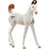 Schleich HORSE CLUB Marwari Fohlen