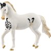 Schleich HORSE CLUB Marwari Hengst