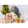 Miniaturansicht: X-MAS Set - Hobby Horsing für Kinder – Ansicht 2